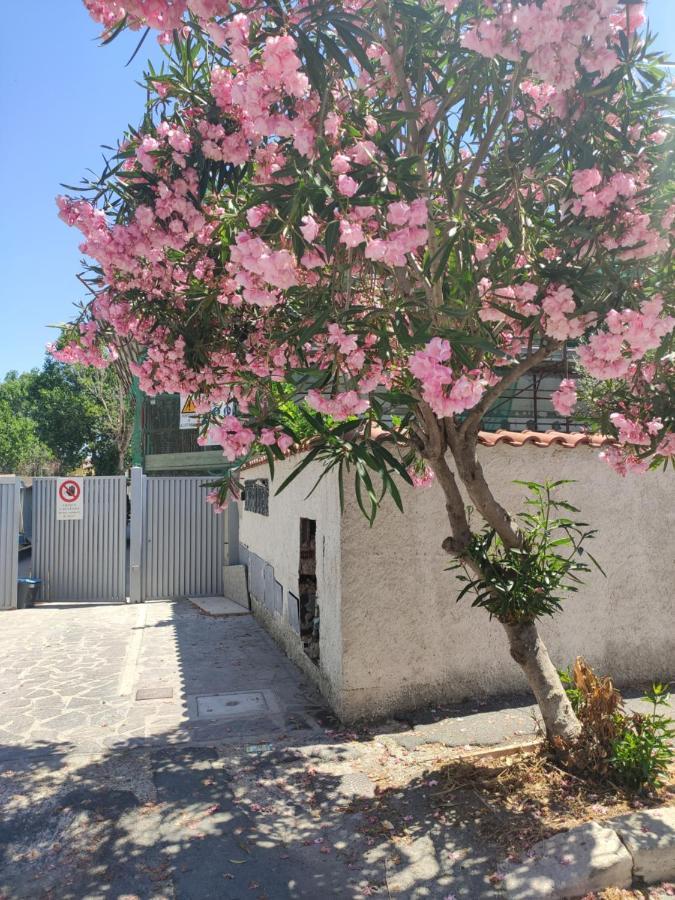 Casa Vacanze Fiumicino Bagian luar foto